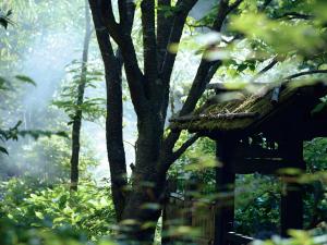 ryokan thumbnail